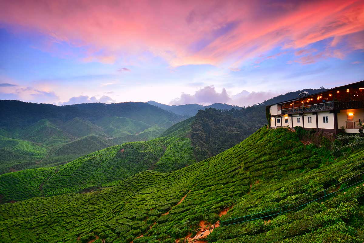 Cameron Highlands - Malaisie