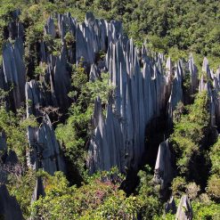 Gunung Mulu National Park