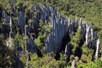 Gunung Mulu National Park