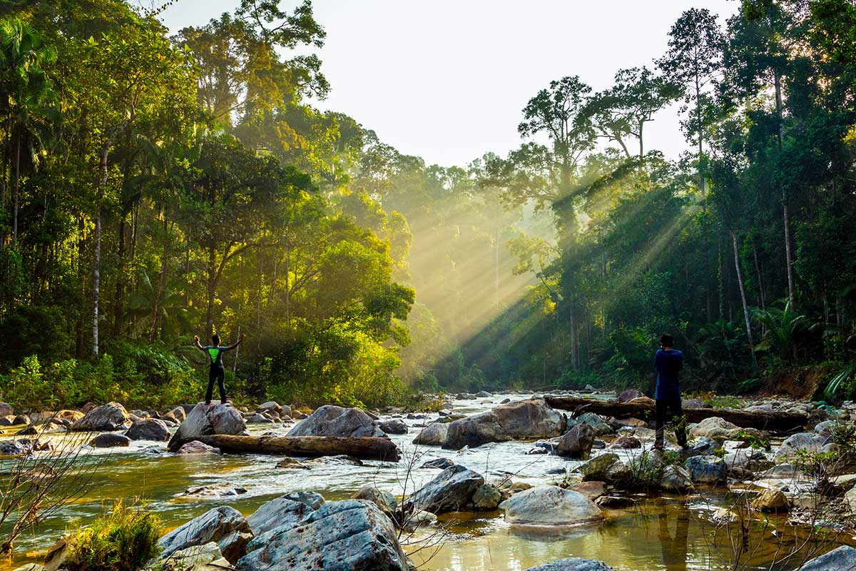 Parc National Taman Negara