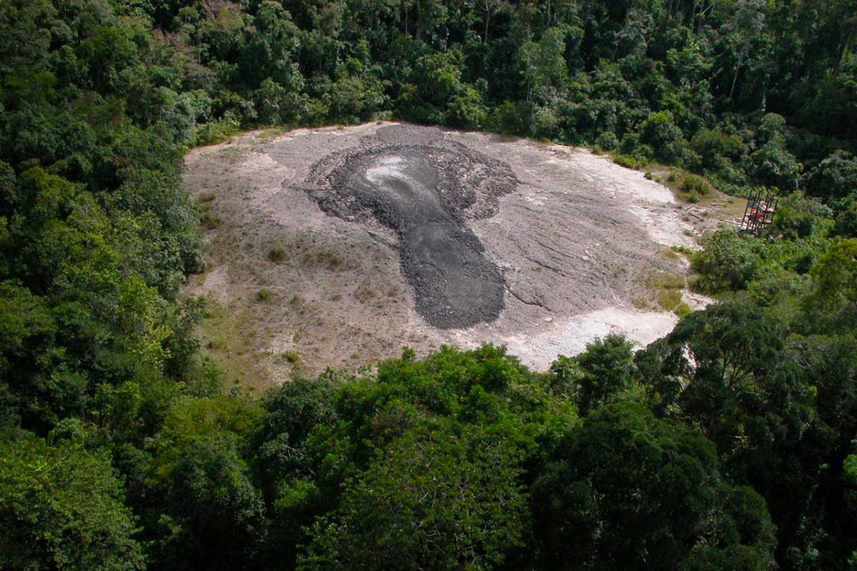 Réserve de Tabin - Bornéo