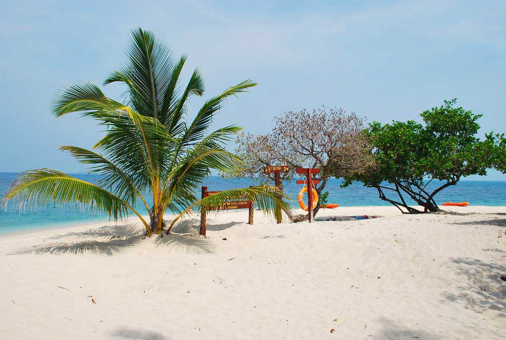 Île de Selingan - Malaisie