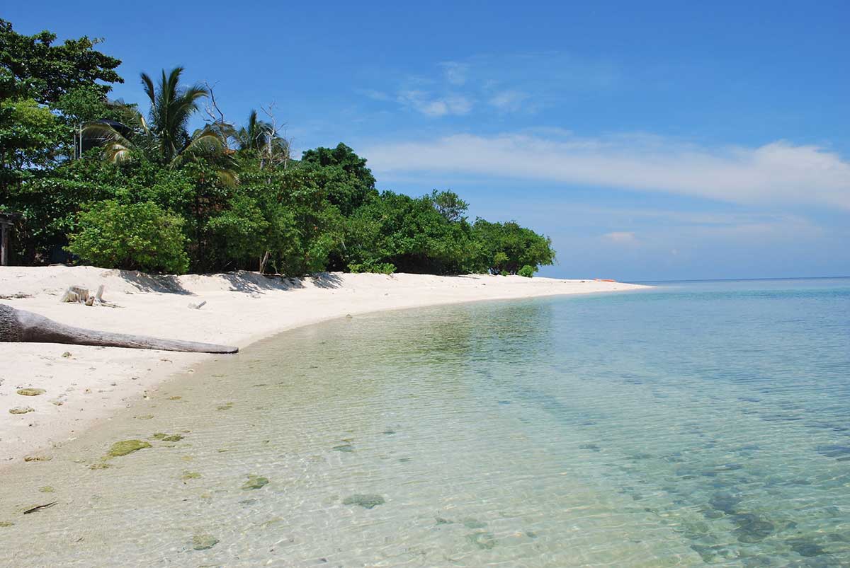 Île de Selingan - Malaisie